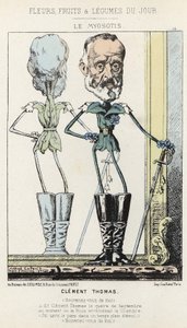Le Myosotis: Clément Thomas hakkında karikatür - hasta. 03/02/1871 tarihinden itibaren “Günün Çiçekleri, Meyveleri ve Sebzeleri”
