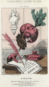 Le Radis: Karikatür Félix Pyat (1810 - 1889) - hasta. 02/02/187 tarihli “Günün Çiçekleri, Meyveleri ve Sebzeleri” by Alfred Le Petit