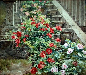 Hase Dera