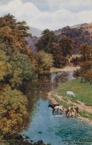 A Bend in the Wharfe at Bolton Abbey  by Alfred Robert Quinton