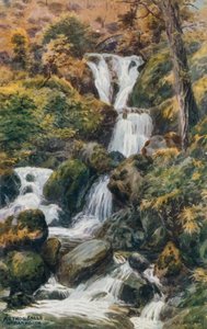 Arthog Falls, Nr. Barmouth  by Alfred Robert Quinton