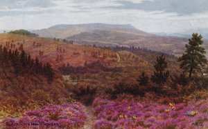 Hindhead