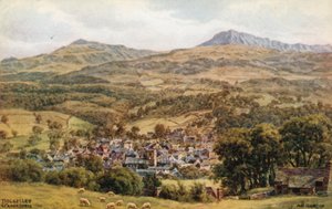 Dolgelley und Cader Idris  by Alfred Robert Quinton