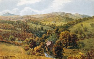 Glen of the Arran, Dolgelley by Alfred Robert Quinton