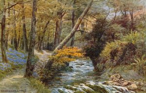 Groudle Glen, I of Man  by Alfred Robert Quinton