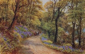 Hobby Drive, Clovelly (renkli taş) by Alfred Robert Quinton