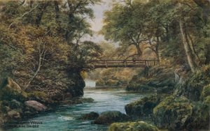 Llandrindod Wells, The Alpine Bridge  by Alfred Robert Quinton
