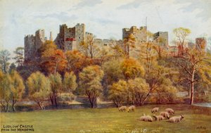 Meadows