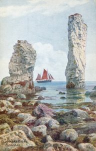 Old Harry Rocks, Swanage  by Alfred Robert Quinton