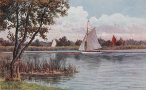Salhouse Geniş by Alfred Robert Quinton