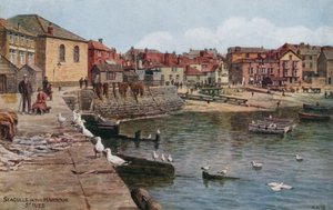 Limanda Martılar, St Ives, Cornwall by Alfred Robert Quinton
