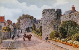 Tenby, Duvarlar ve Beş Kemer by Alfred Robert Quinton