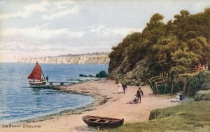 Plaj, Studland by Alfred Robert Quinton