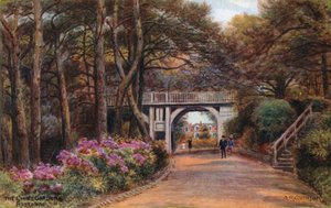 The Chine Gardens, Boscombe  by Alfred Robert Quinton