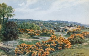 The Common, Tunbridge Wells  by Alfred Robert Quinton