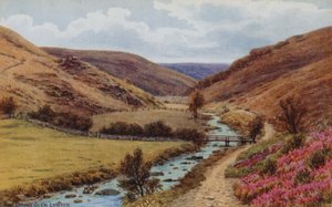 Doone Glen, Lynton by Alfred Robert Quinton