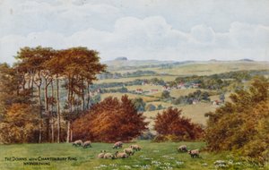 Chanctonbury Ring ile Downs, Nr Worthing by Alfred Robert Quinton
