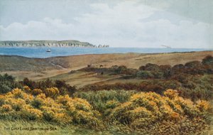 Yat Yarışı (Dublin Bay) turki by Alfred Robert Quinton