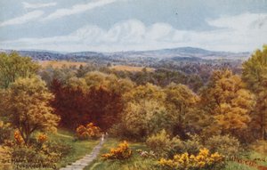 Mutlu Vadi, Tunbridge Wells