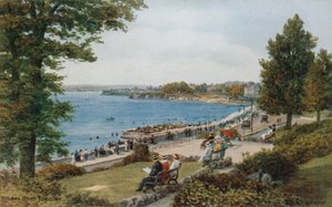 Torbay Yolu, Torquay by Alfred Robert Quinton