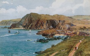 View from the Capstone, Ilfracombe  by Alfred Robert Quinton