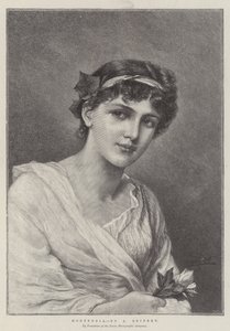 ortanca