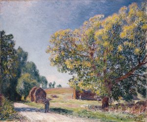 Ormanda Bir Açıklık, 1895 by Alfred Sisley