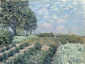 Pazar Bahçeleri by Alfred Sisley