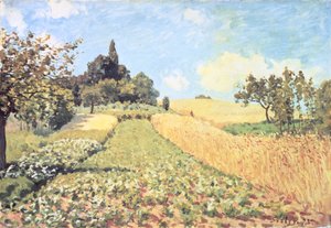 Buğday Tarlası (tuval üzerine yağlı boya) by Alfred Sisley