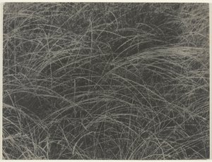 Eşdeğer by Alfred Stieglitz