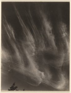  by Alfred Stieglitz