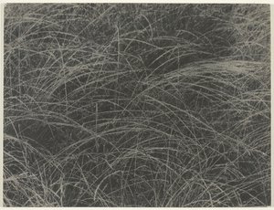 Eşdeğer, 1927. by Alfred Stieglitz