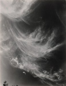 Eşdeğer, 1930. by Alfred Stieglitz