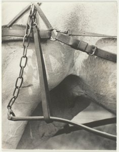 Eşdeğer, Spiritüel Amerika by Alfred Stieglitz