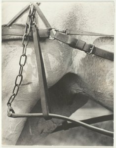 Eşdeğer, Spiritüel Amerika, 1923. by Alfred Stieglitz