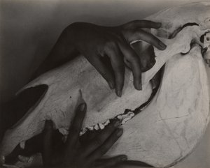  by Alfred Stieglitz