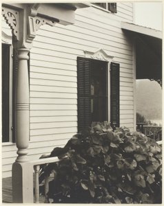  by Alfred Stieglitz