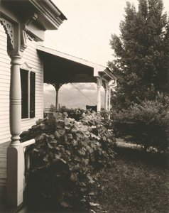 Ev ve Üzüm Yaprakları, 1934. by Alfred Stieglitz