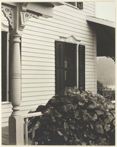 Ev ve Üzüm Yaprakları, 1934. by Alfred Stieglitz