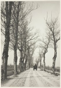 Kasım Günleri by Alfred Stieglitz