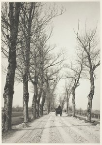 Kasım Günleri, 1887, 192039