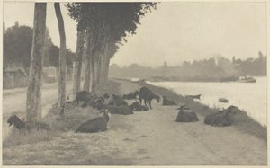 Seine