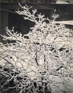 Pencere Dışı - 291 - N.Y. by Alfred Stieglitz