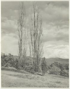 Kavak George Gölü by Alfred Stieglitz
