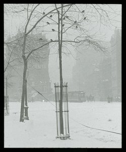  by Alfred Stieglitz