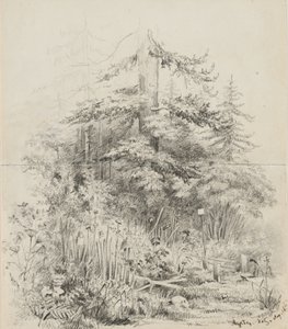 Indian Burial Place, Oregon, 1841 (kremalı dokuma kağıttan iki dikişli eskiz defteri yaprağı üzerindeki grafit) by Alfred Thomas Agate