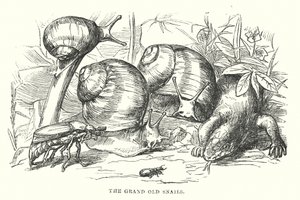  by Alfred Walter (after) Bayes