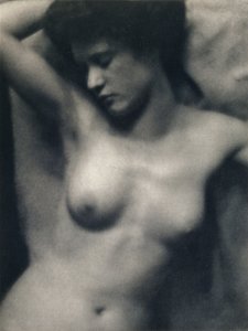 gövde by Alfred and White Clarence Stieglitz