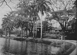 Kandy - Gölün Pitoresk Bir Köşesi, c1890, 1910 by Alfred William Amandus Plate