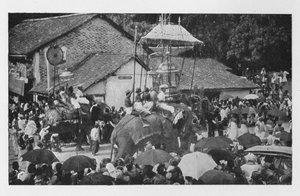 Kandy Perahera. - Kandyan Şefleri tarafından taşınan Filler Alayı, c1890, 1910